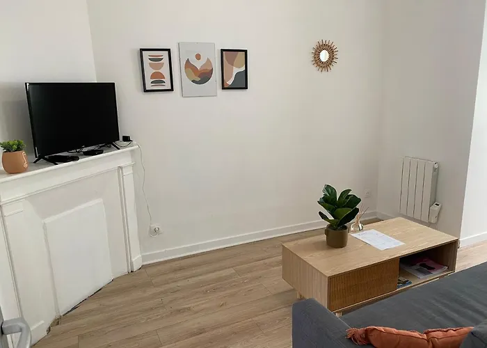 Apartment Acacia Terrasse*proche Centre-ville Et Chu